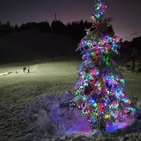 Pansiyon U Bazanta *** - V Sukromi