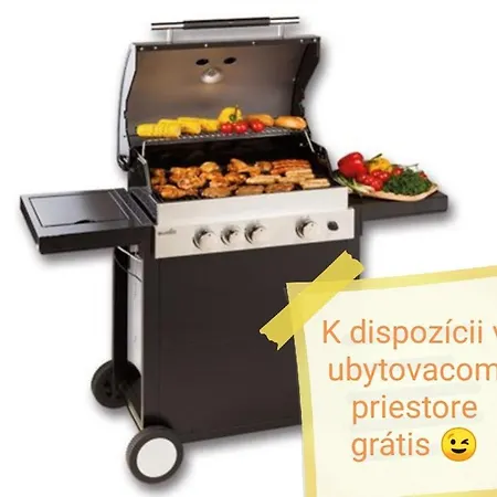 U Bazanta *** - V Sukromi Vyšné Ružbachy