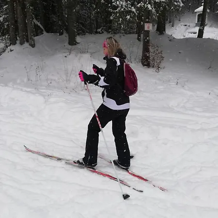 ホームステイ U Bazanta *** - V Sukromi Vyšné Ružbachy