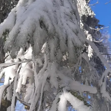 U Bazanta *** - V Sukromi