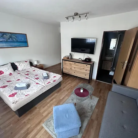 U Bazanta *** - V Sukromi ホームステイ