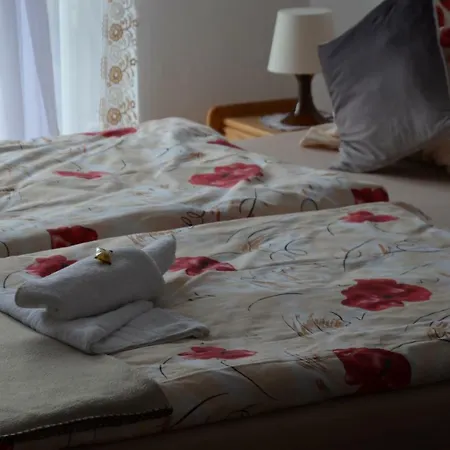 U Bazanta *** - V Sukromi Pansiyon *