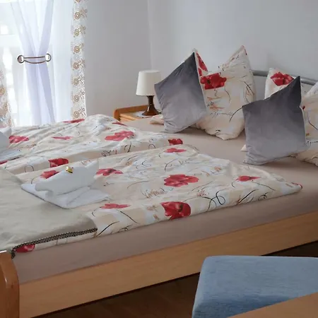 Δωμάτια σε οικογενειακή κατοικία U Bazanta *** - V Sukromi *